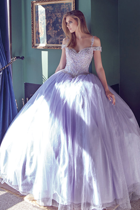 Embroidered Applique Tulle Off Shoulder Long Quinceanera Dress JT1430