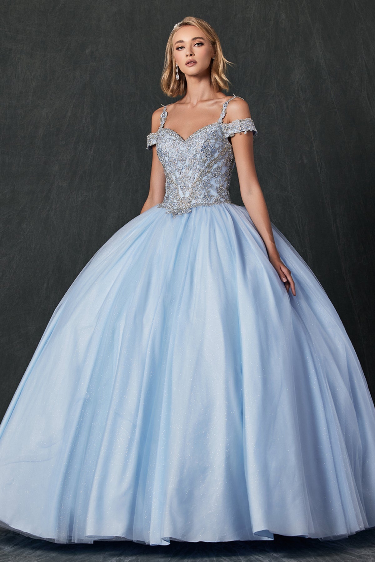 Embroidered Applique Tulle Off Shoulder Long Quinceanera Dress JT1430