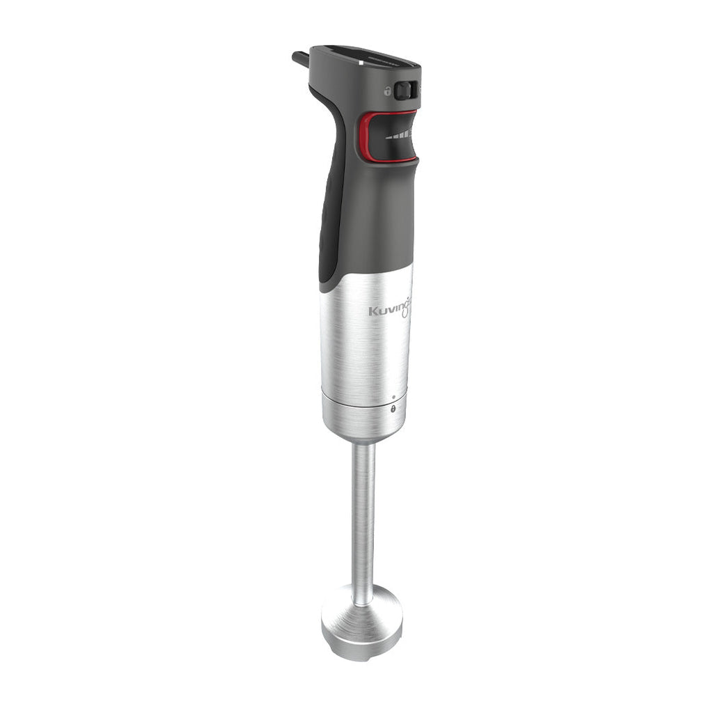 Promix1000 Hand Blender (MOQ: 6 pcs)