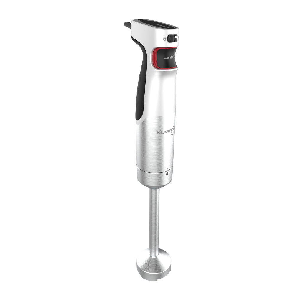 Promix1000 Hand Blender (MOQ: 6 pcs)