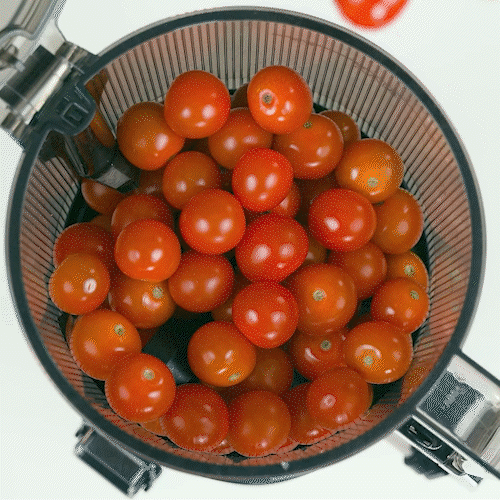 AUTO10S HANDS-FREE SLOW JUICER KHS-2591CE 3000cc