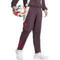 Bayern Munich dark red presentation Soccer tracksuit 2024/25 - Adidas