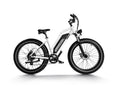 Himiway Cruiser D3 - All Terrain E-Bike