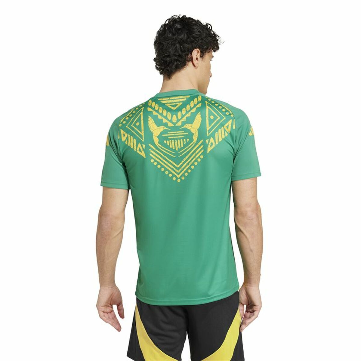 Football T-Shirt Adidas Jamaica 2024 Pre Match Green