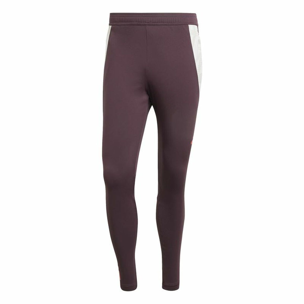 Long Sports Trousers Adidas Fc Bayern 24/25 Tiro24 Brown Maroon Men