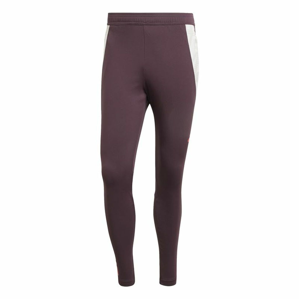 Long Sports Trousers Adidas Fc Bayern 24/25 Tiro24 Brown Maroon Men