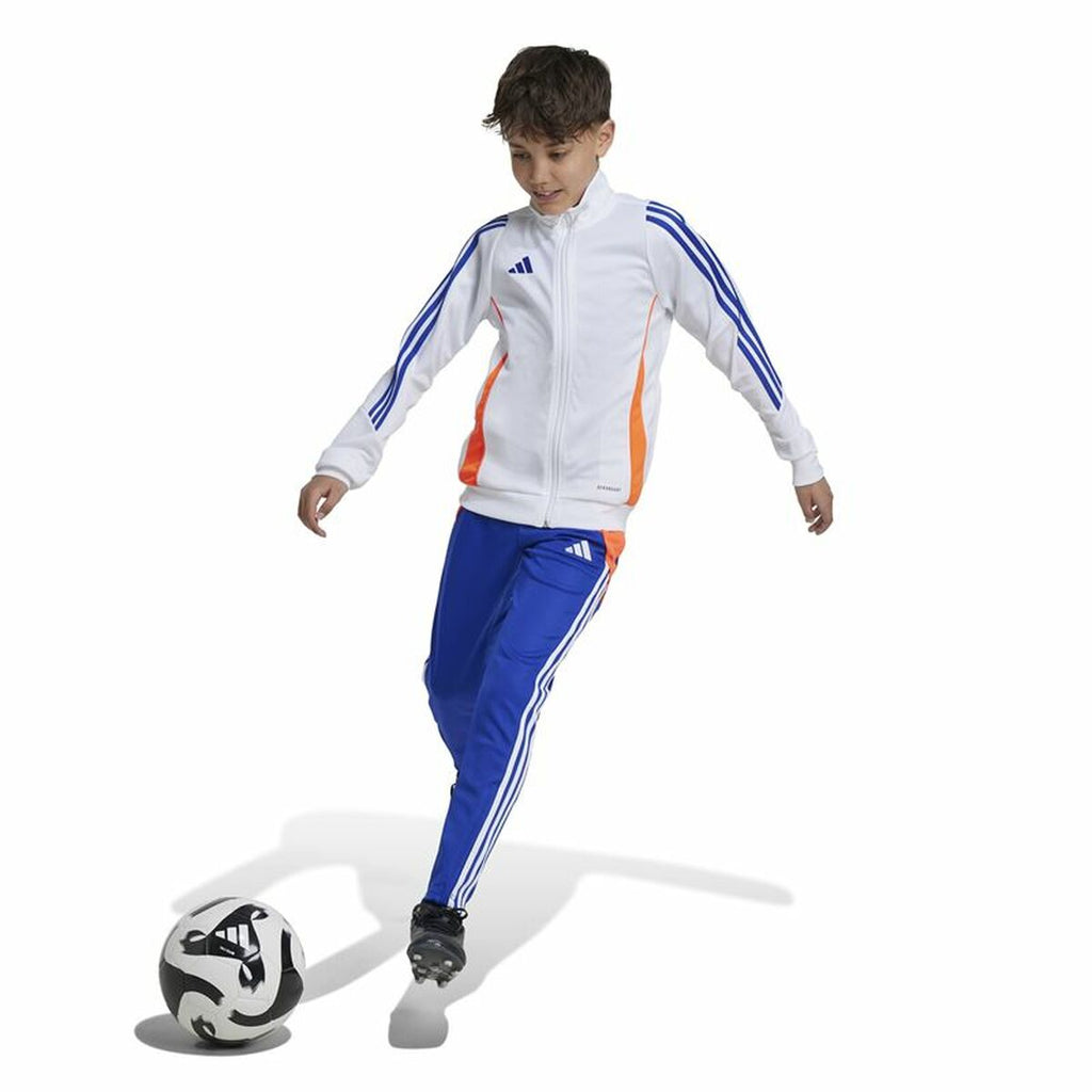 Long Sports Trousers Adidas Tiro24 Training Slim Blue