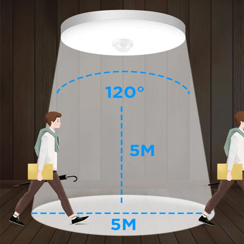 S4462fed11e444524905d50f19d80d13fS