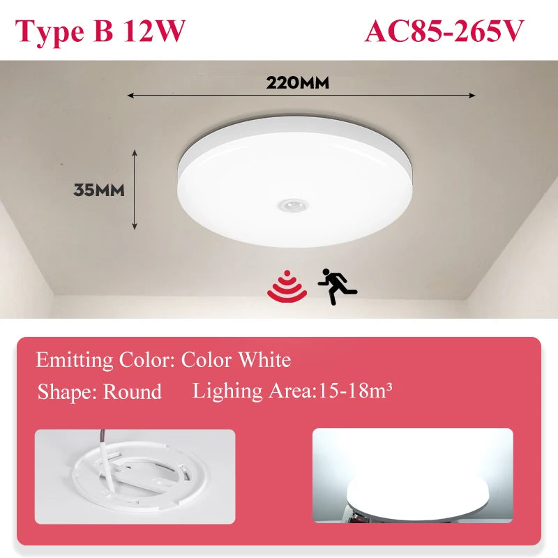 Sa7e21be941574ad6affb25591ad87b2fP
