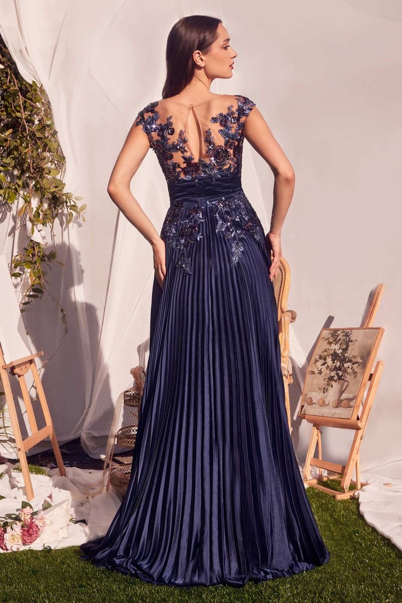 Floral Applique Embellished Long A-Line Dress For Special Occasion w/ Pleated Design & Cap Sleeves