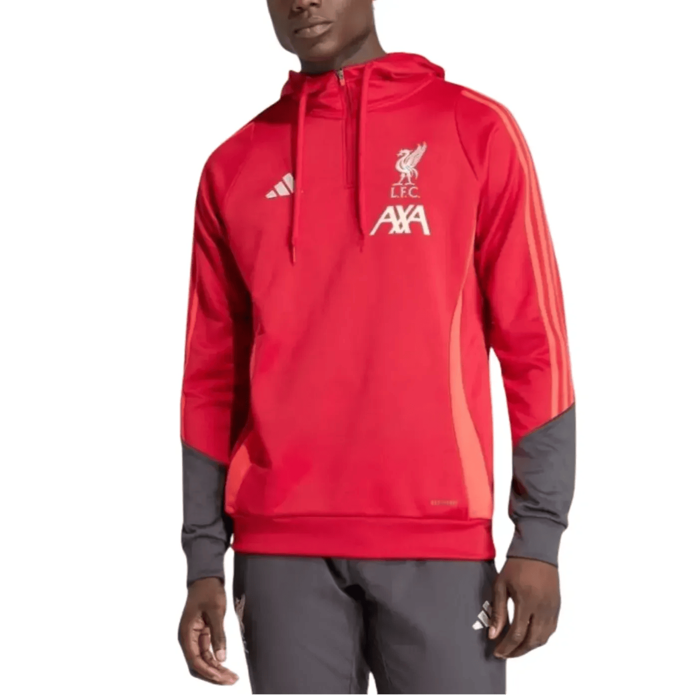 Liverpool FC red hooded training technical tracksuit 2026 - Adidas