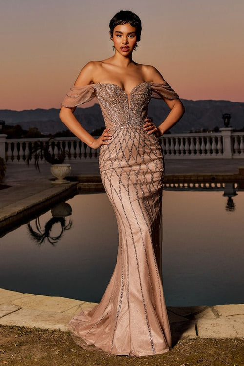 Blush Nude Off-Shoulder Beaded Gown with Sweetheart Neckline & Fitted Mermaid Silhouette CDCC477