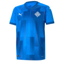Iceland national team Home soccer jersey 2020/21 - Puma