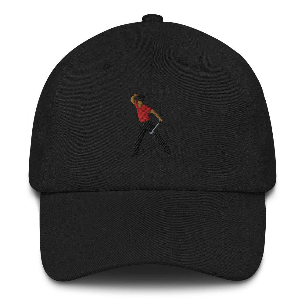 2008 Dad hat