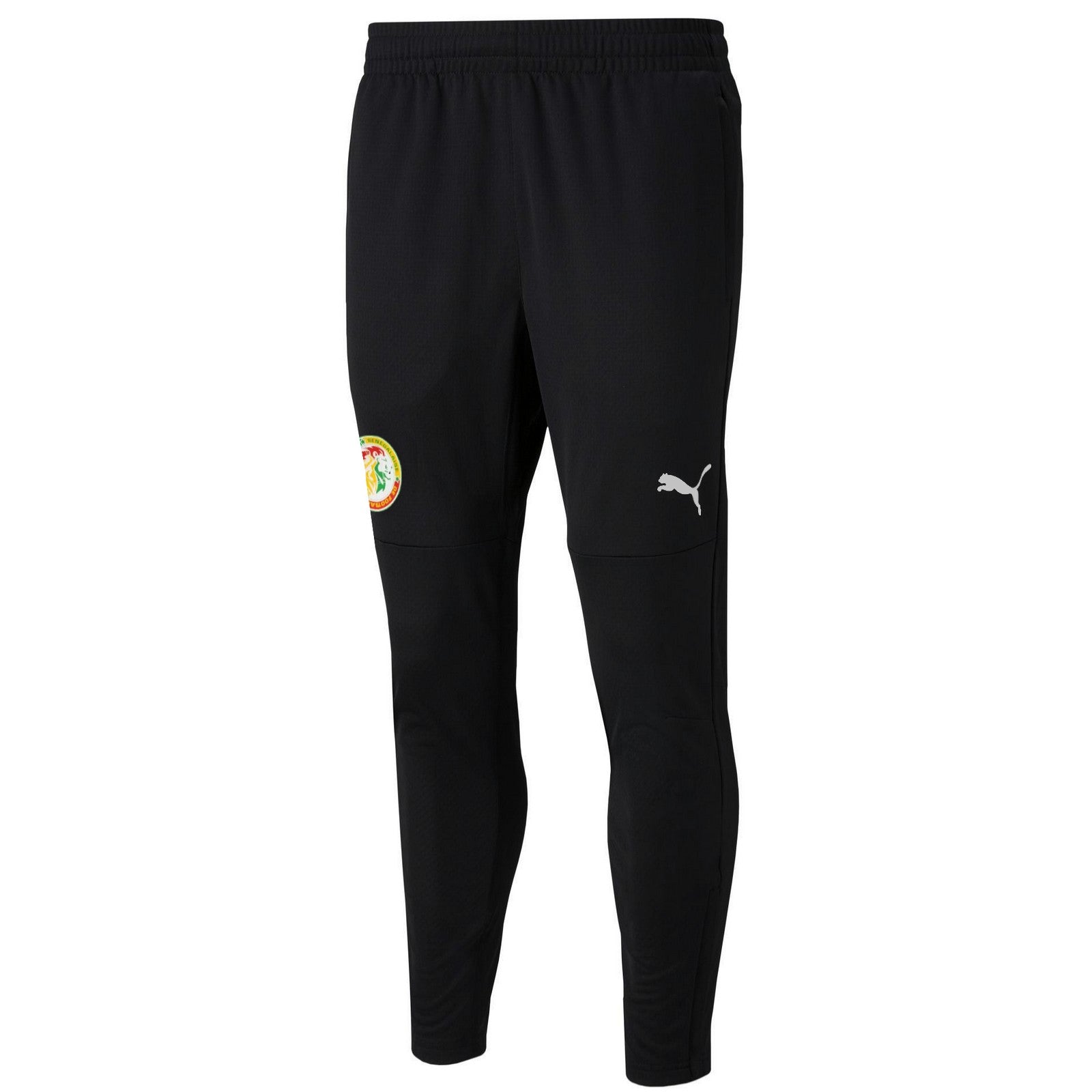 Senegal national team training technical Soccer tracksuit 2022/23 - Puma